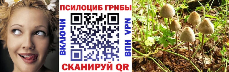 цена   Приморск  Псилоцибиновые грибы ЛСД 